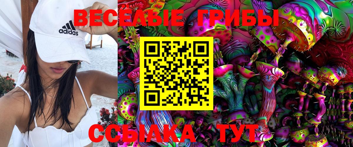 Псилоцибиновые грибы мицелий Бутурлиновка