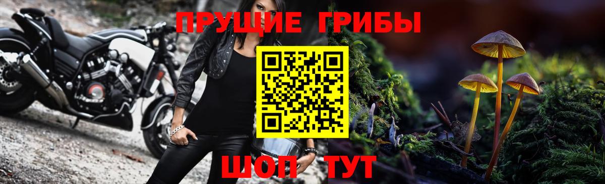 Бутурлиновка  Галлюциногенные грибы Psilocybe  Псилоцибиновые грибы Magic Shrooms  Вход с VPN 
